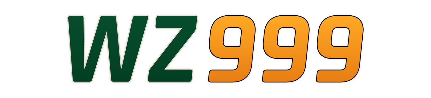 wz999